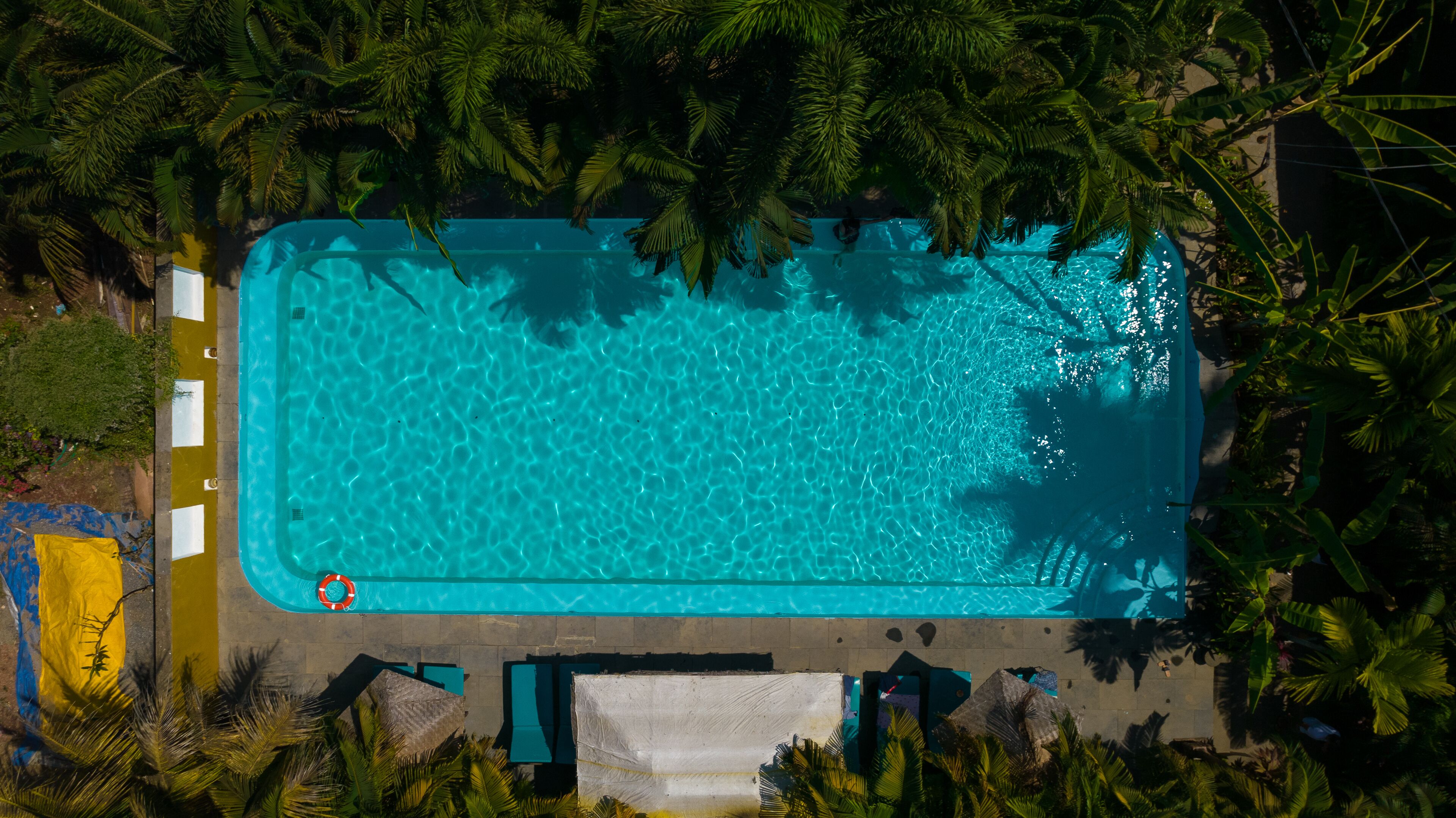 An aerial view of a rectangular swimming pool surrounded by palm trees and a tiled deck.