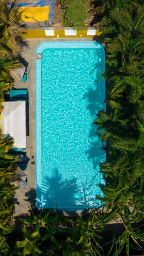 An aerial view of a rectangular swimming pool surrounded by palm trees and a covered area with lounge chairs.