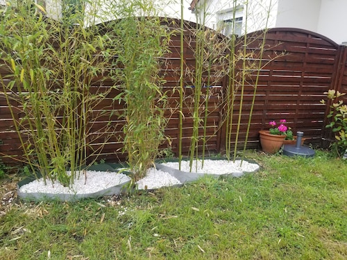 Charming house near Jardin des Plantes