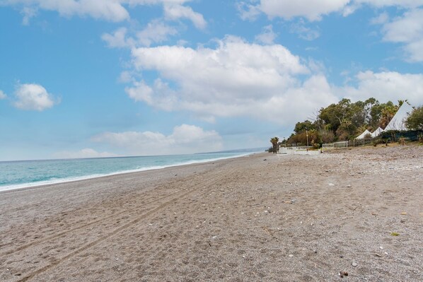 Una playa con cielo despejado, mar tranquilo y algunos árboles a la derecha.