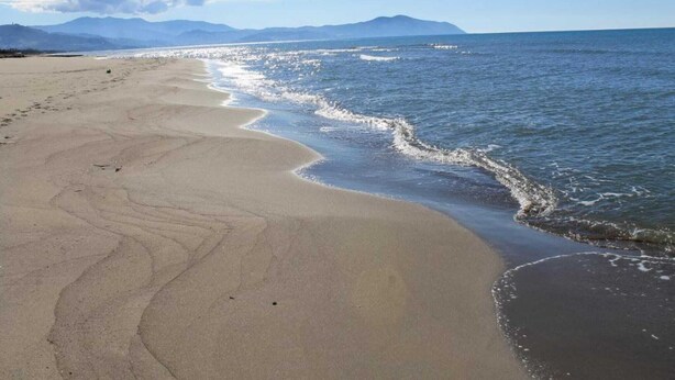 A beach with a sandy shore and gentle waves.