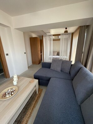 家庭开间套房 | 起居区 | 41-英寸LED 电视 （配备卫星频道）、电视