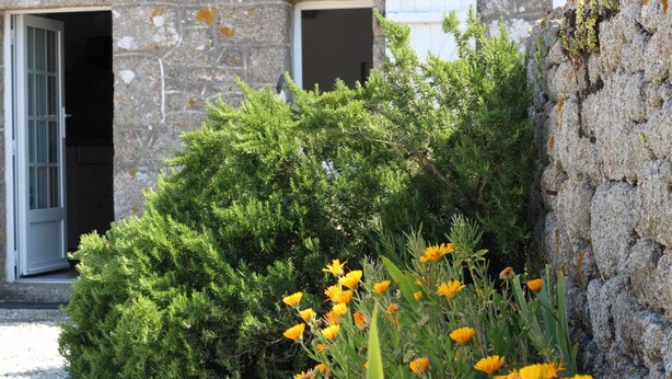 A stone building with a door and windows, surrounded by greenery and yellow flowers. - Seaside house with beach access, modern amenities and family space (Gatteville-le-Phare)