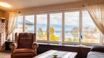 Télévision, cheminée, chaßne hi-fi