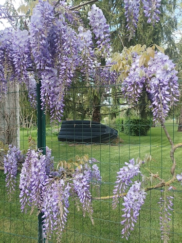 Ideal for visiting the marsh and relaxing with swimming pool, rowing boat, bicycles, park.