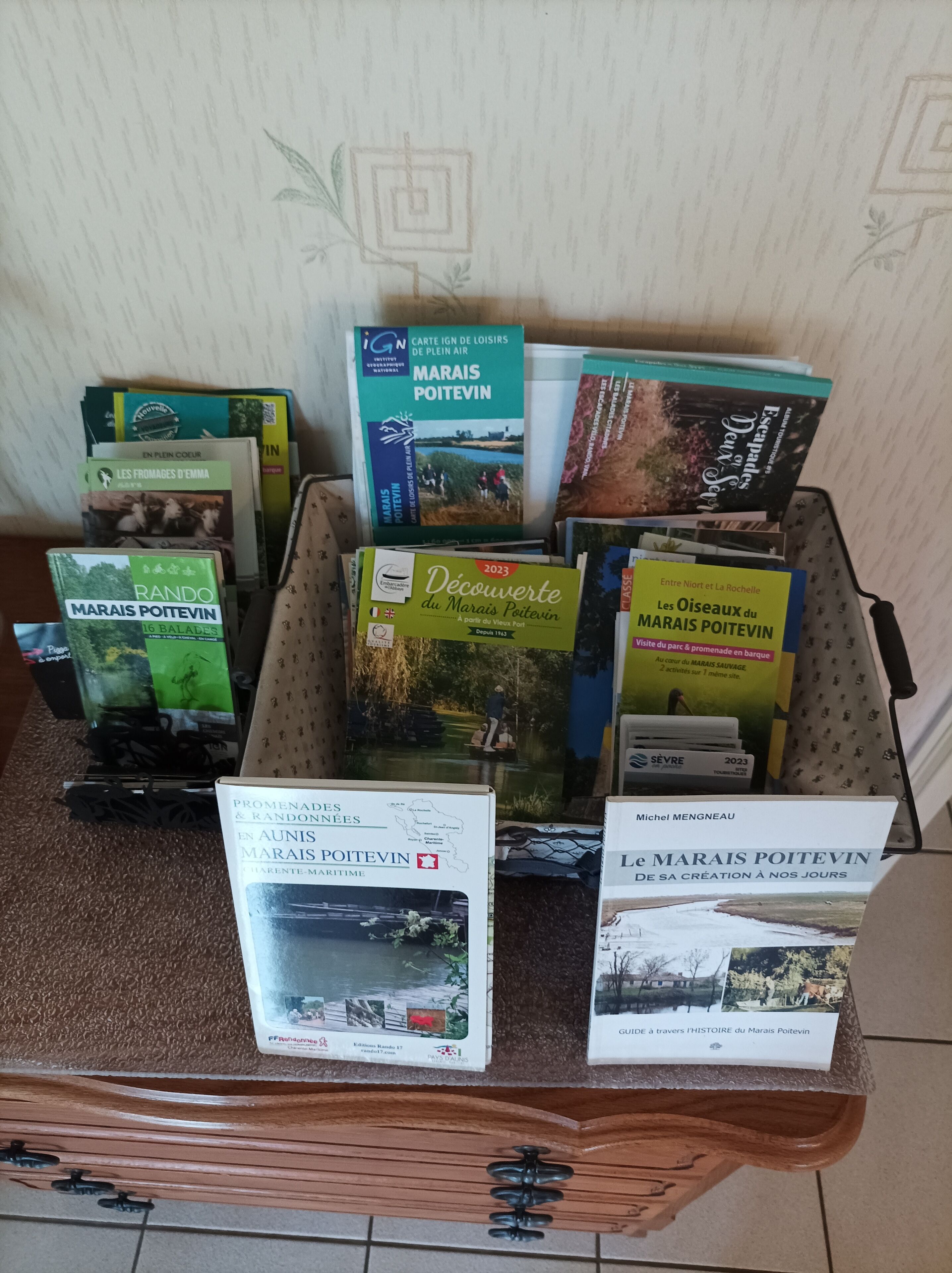 Une collection de guides de voyage et de livres est posée sur une table en bois.