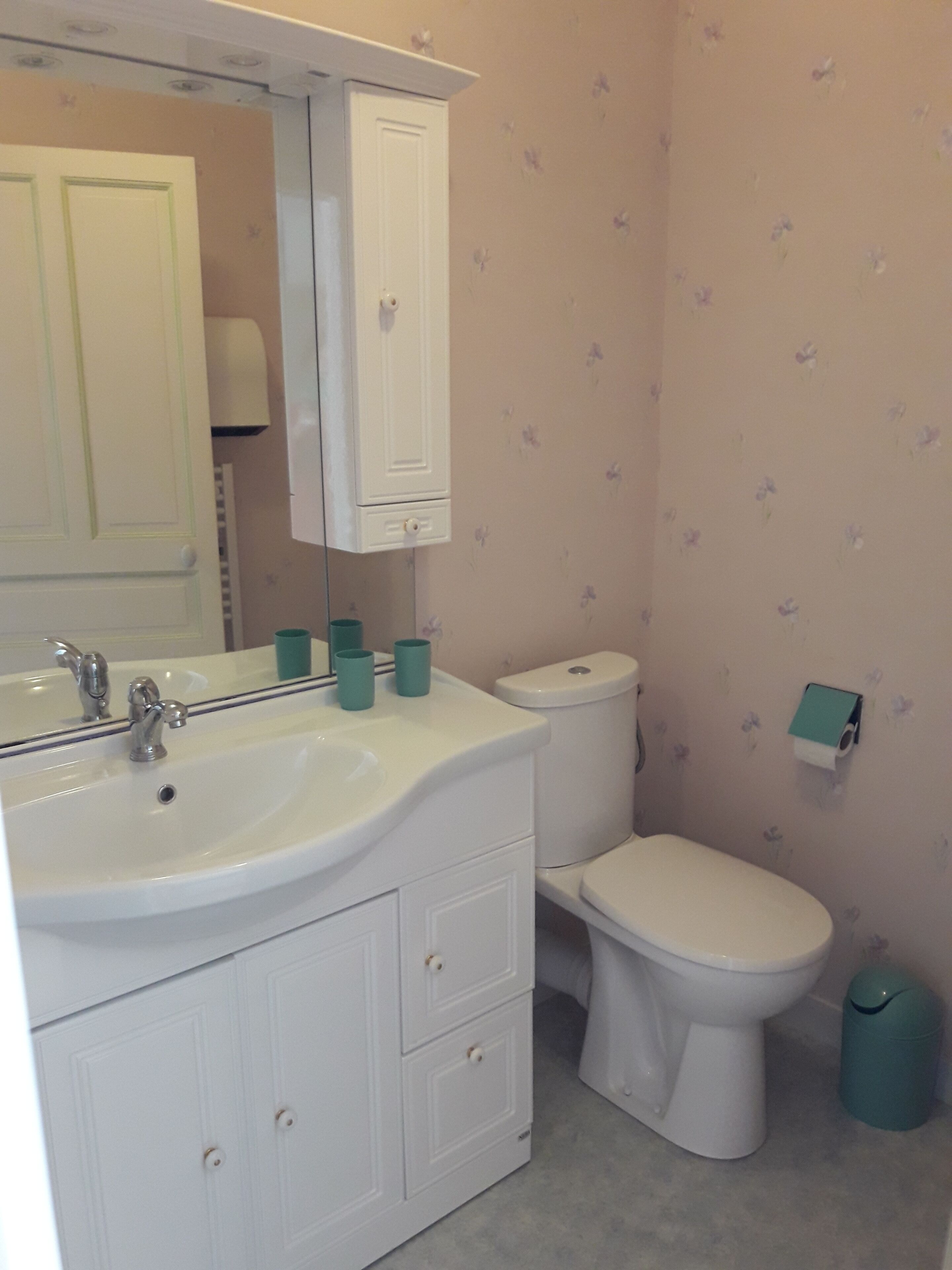 A bathroom with a white sink, mirror, and cabinet, a toilet, and a trash can.
