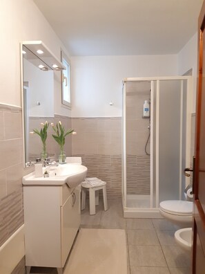Dusche, Haartrockner, Bidet, Handtücher