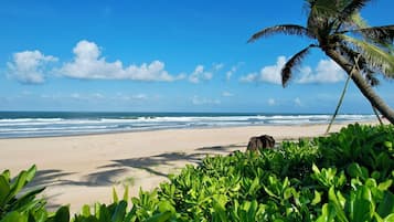 Plage privée, cabines gratuites, chaises longues, parasols