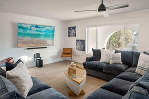 Fernseher, Arbeitsbereiche