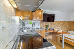 Family Studio, Mountain View (River View Suite Mlinar private beach) | Private kitchen | Fridge, oven, stovetop, electric kettle - River View Suite Mlinar Private Beach (Metlika)
