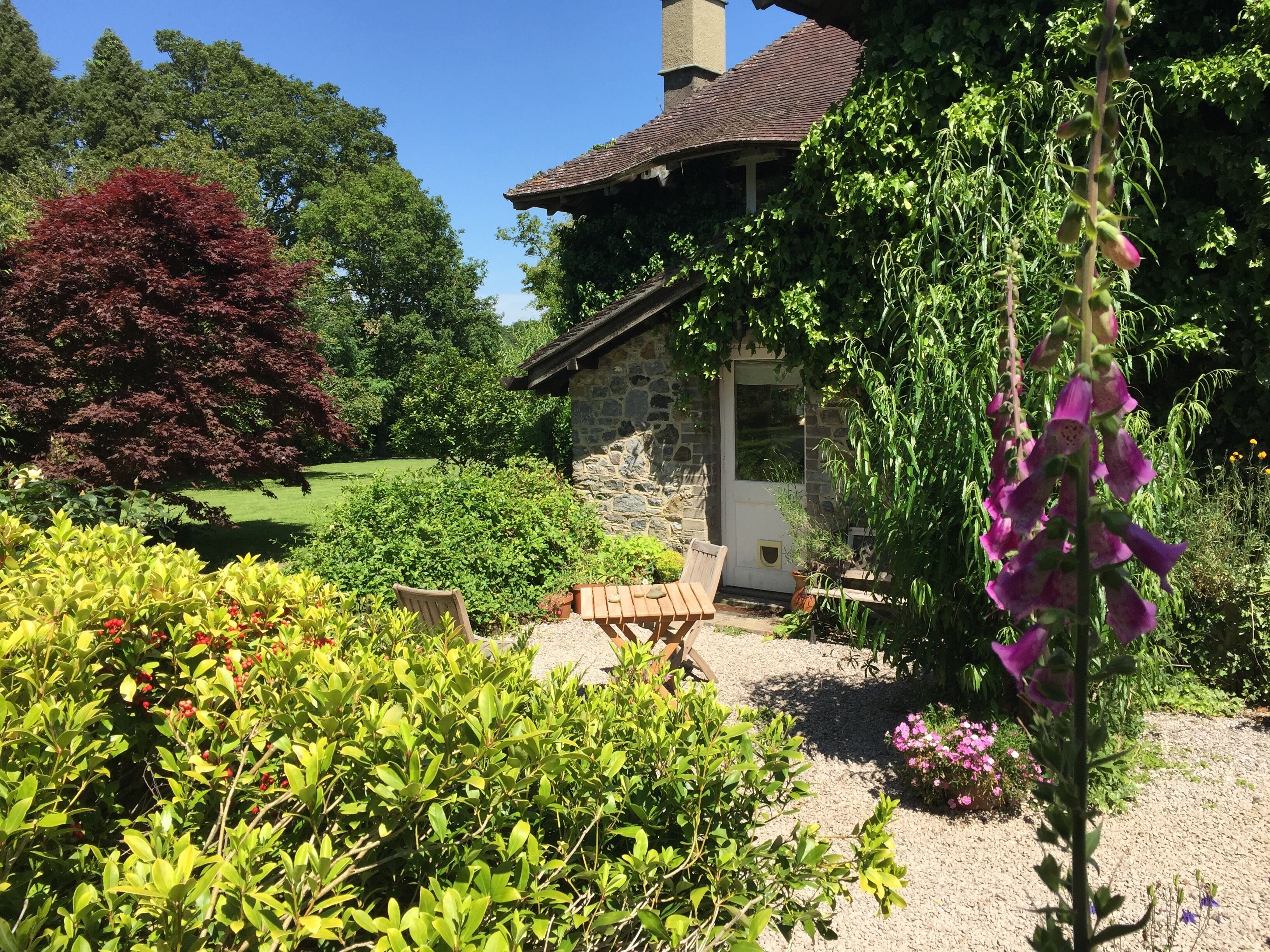 Romantic sunny South Devon garden cottage with wifi set in garden and woodland