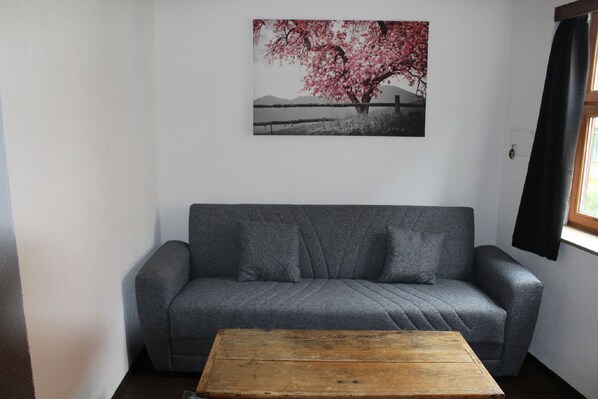 Driepersoonskamer | Woonruimte | Een 45-inch televisie met satellietzenders