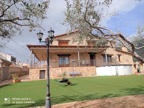 The Olive Trees of Joseph