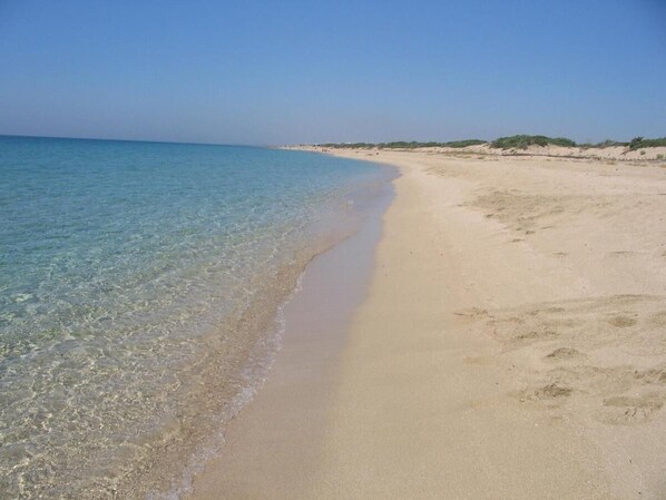 Strand