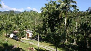 A house surrounded by lush greenery and palm trees, with a clear sky and mountains in the background. - Farmstead vacation house in the middle of Sabang and Dinadiawan beach (Dipaculao)