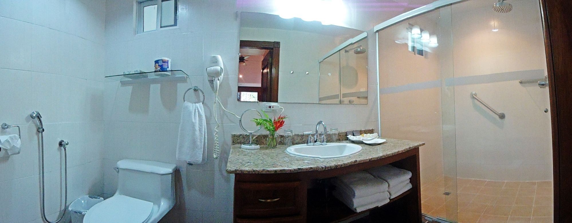 A bathroom with a toilet, a sink, a shower, and a mirror.