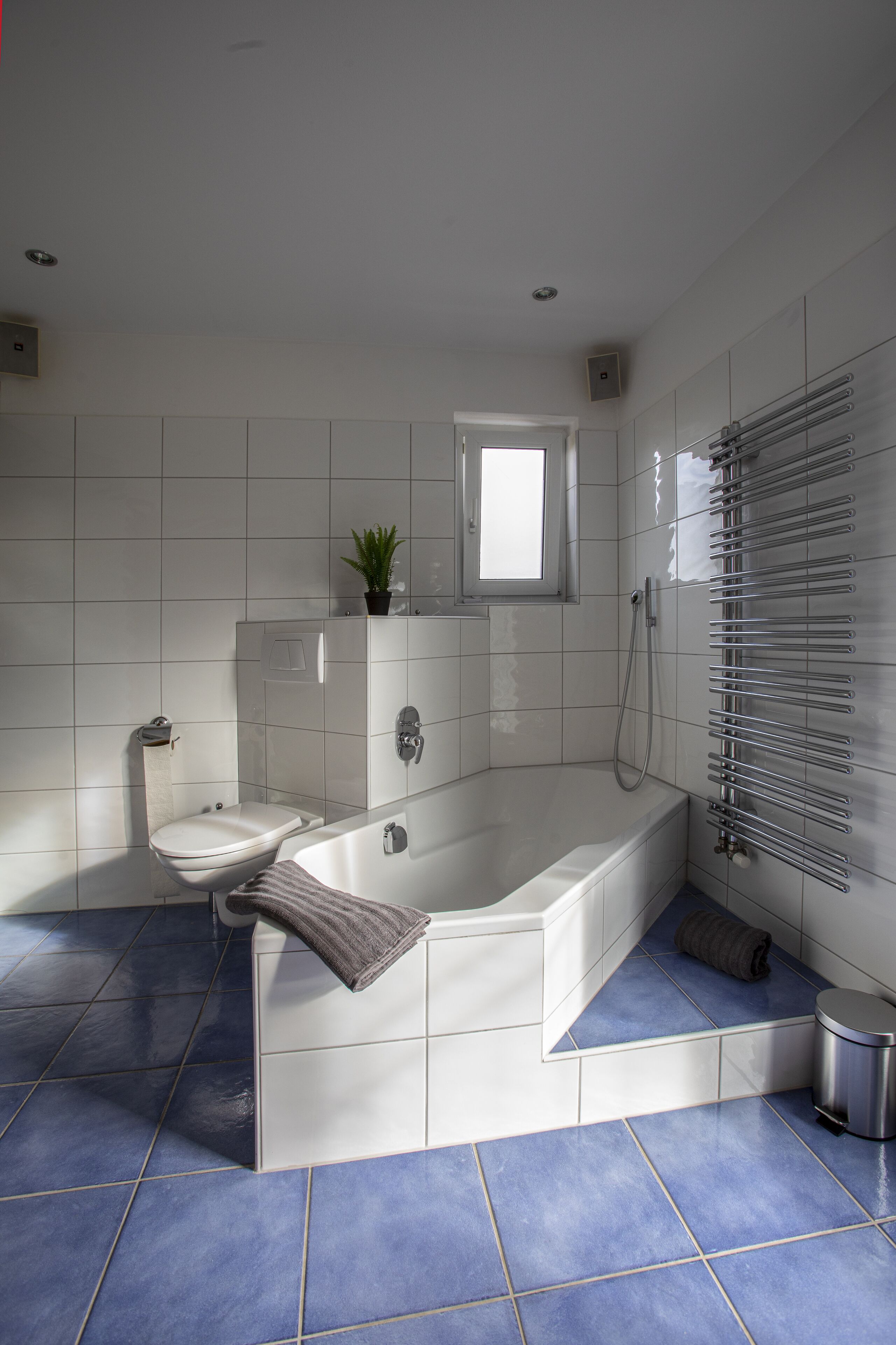 Bathtub, hair dryer, towels, soap