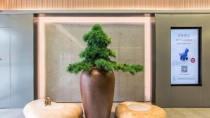 A reception area with a large vase of green foliage, two wooden stools, and a framed poster on the wall.