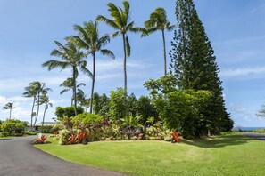 Property grounds - Classic Princeville Charmer - Comfy and Spacious 2BR Condo w/ Huge Lanai (Princeville)