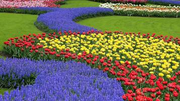 A garden with various flower beds in multiple colors.