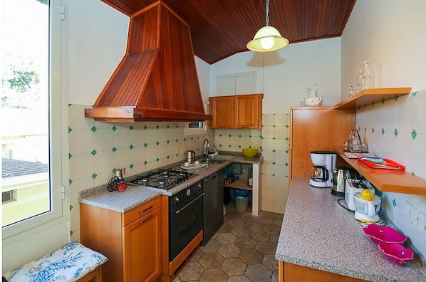 Apartamento | Cocina privada | Frigorífico grande, horno, placa de cocina y lavavajillas
