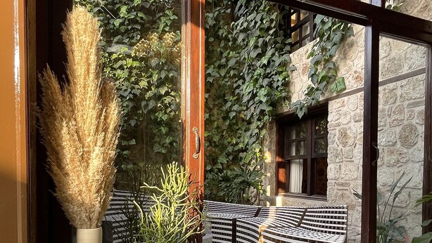 Um interior moderno com uma parede de pedra, um banco de madeira e plantas em vasos.