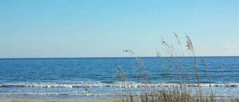 A beach with clear skies and calm waters.