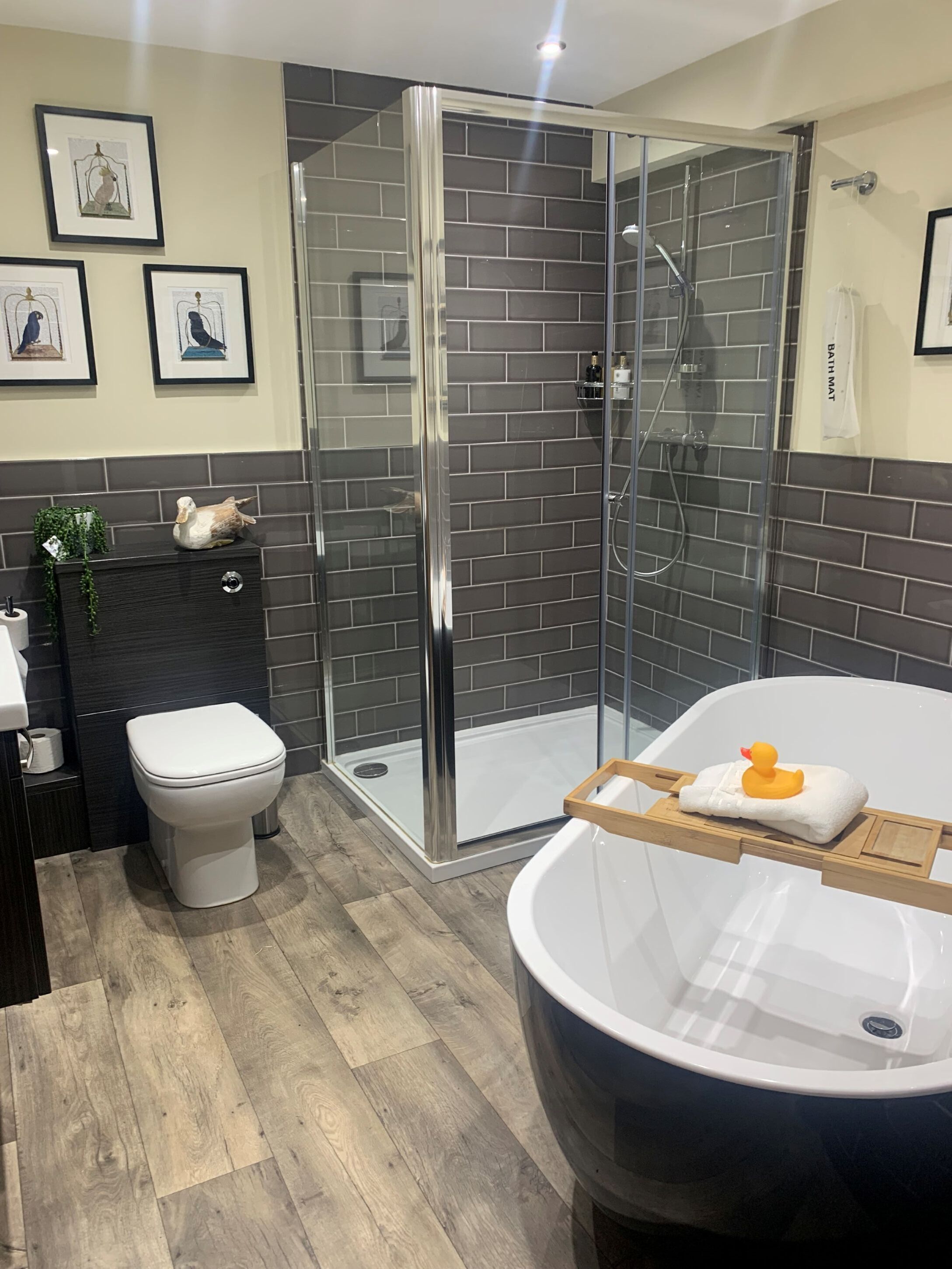 Deluxe Suite | Bathroom
