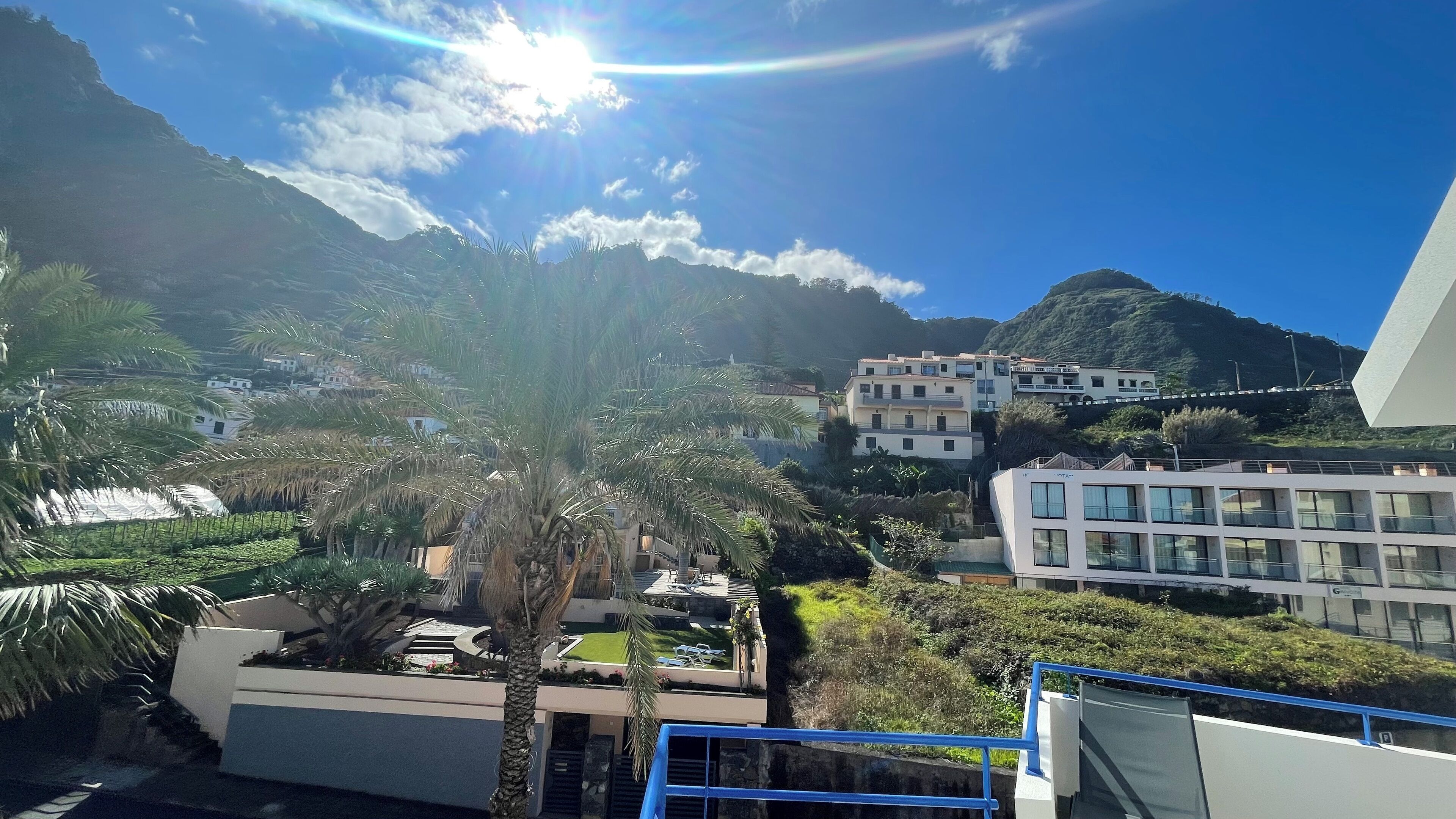 A coastal residential area with modern buildings, a prominent palm tree, and a mountainous backdrop.