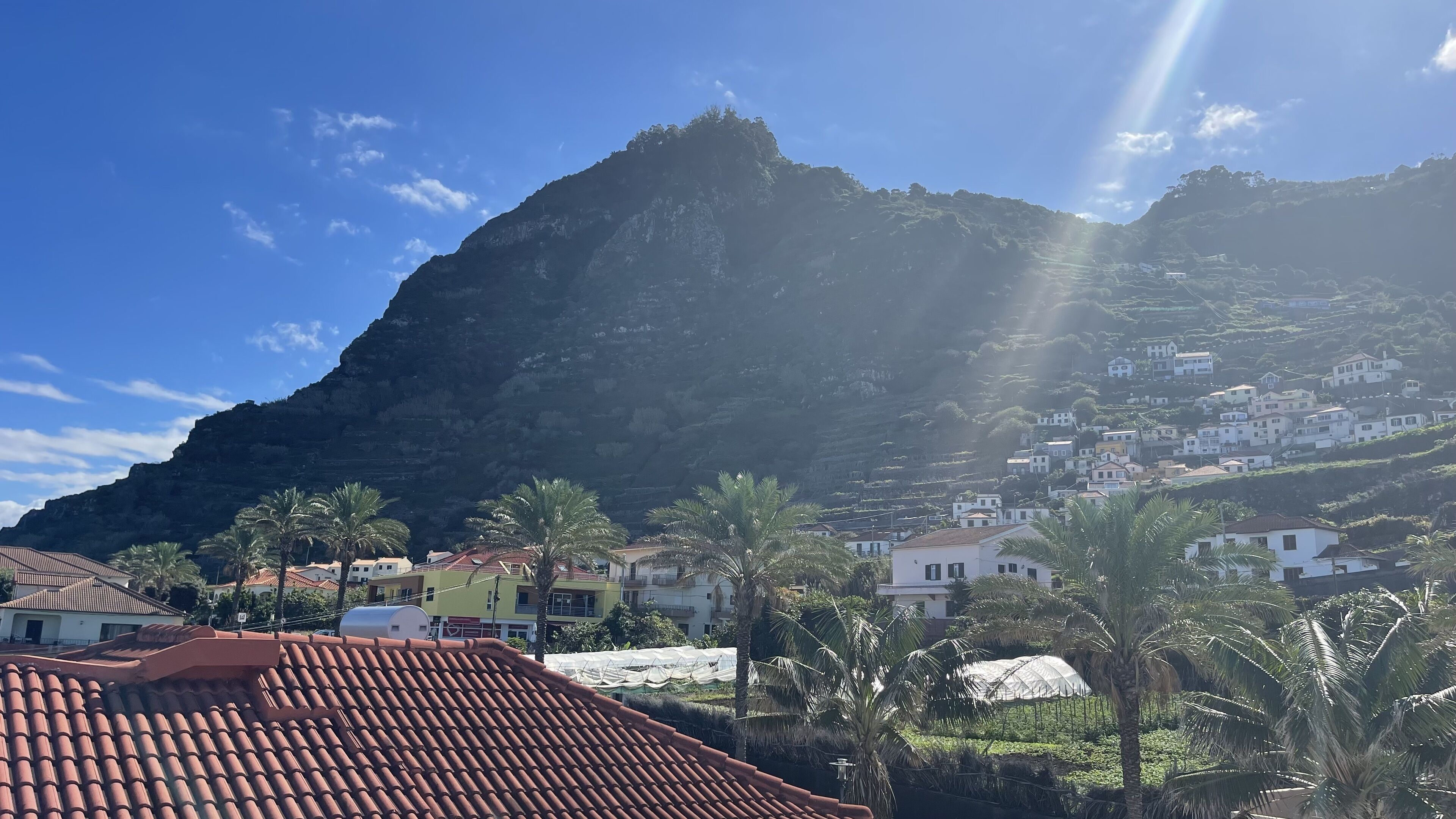 A coastal village with terracotta-roofed houses, palm trees, and a prominent mountain in the background.