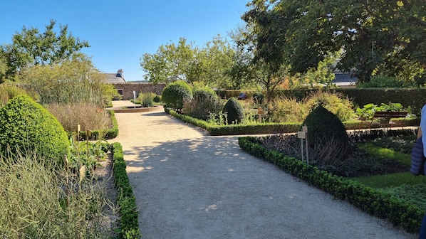 Un sendero de grava en un jardín bien cuidado, con setos y árboles podados.