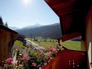 Property grounds - Apartment in Wagrain near Red 8 Gondola (Wagrain)