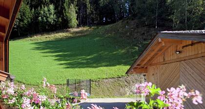 Wohnung in Wagrain nahe Red 8 Gondel