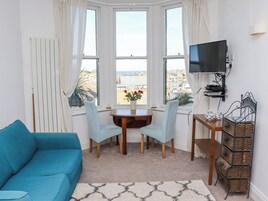 游戏机、DVD 播放器