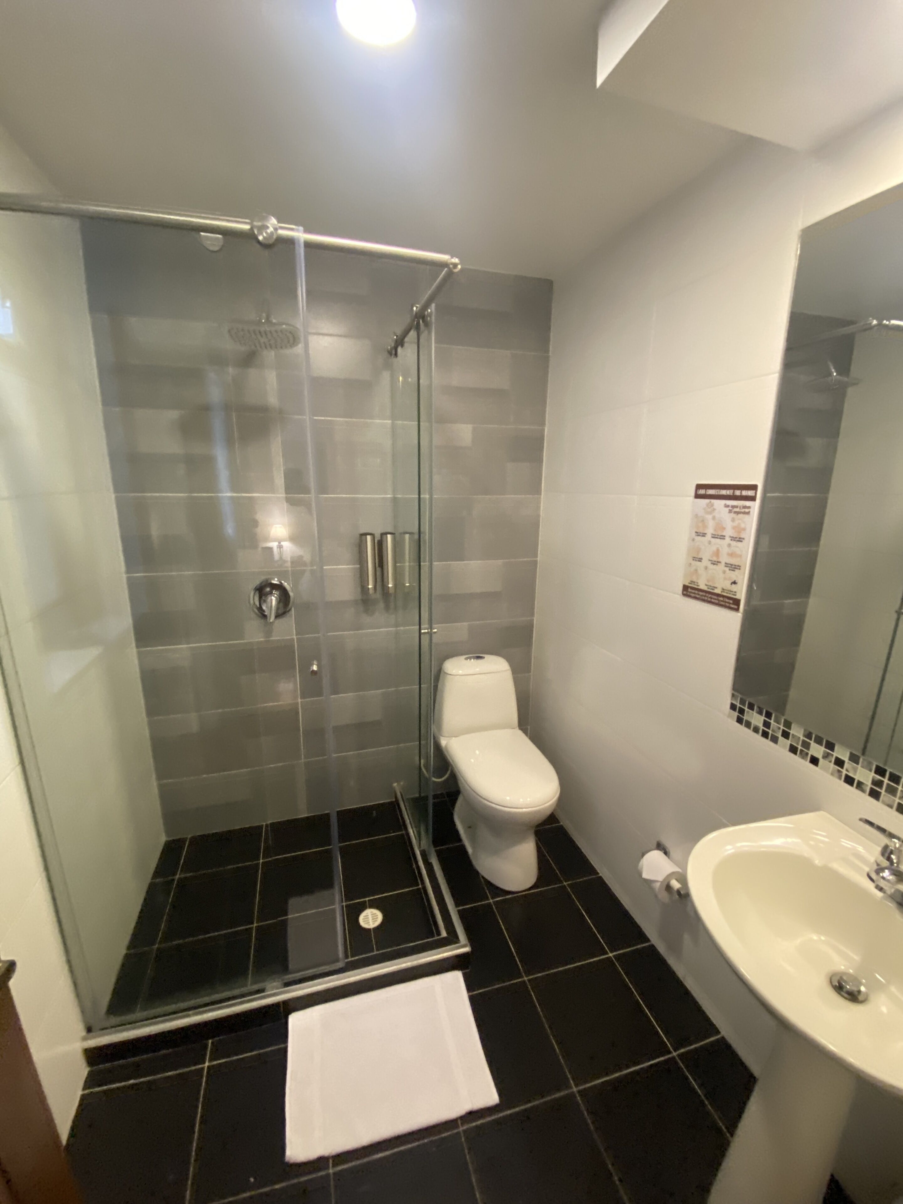 A bathroom with a glass-enclosed shower, a white toilet, and a sink with a mirror.