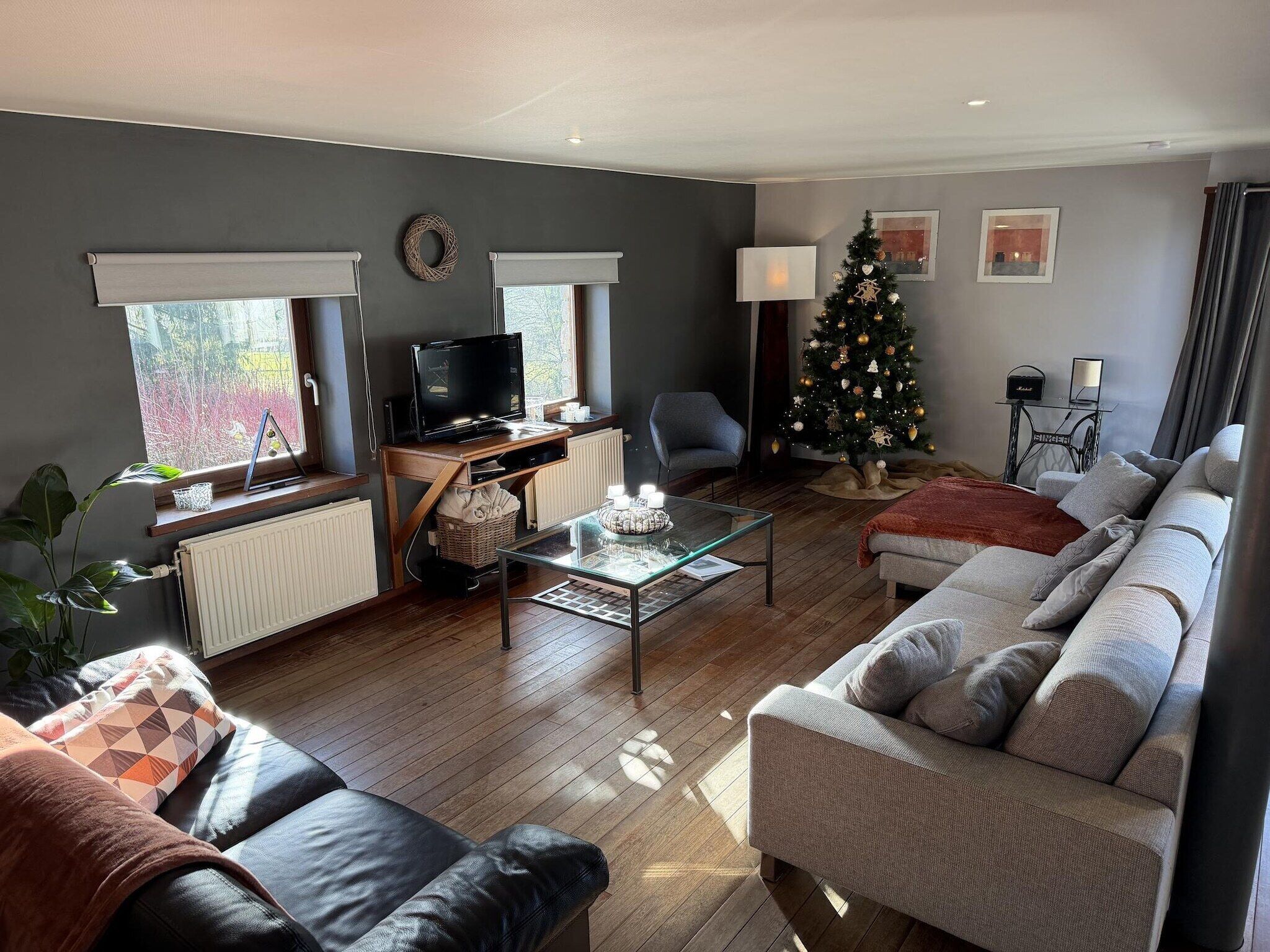 Télévision, baby-foot, livres