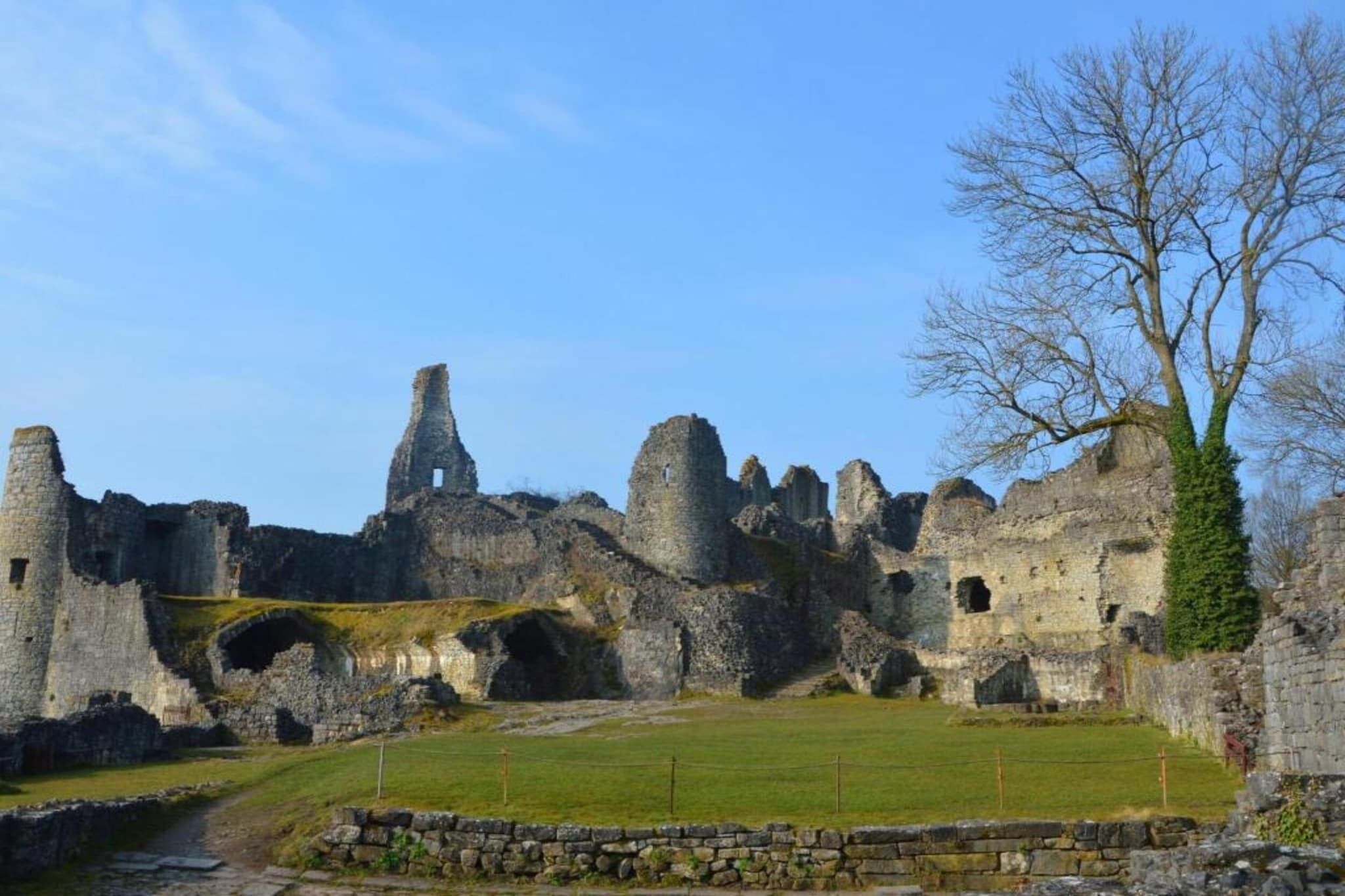 The ruins of a medieval castle with stone walls and towers, a grassy area in the foreground, and a leafless tree to the right.