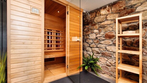 A wooden sauna with a stone wall backdrop, a wooden bench, and a small plant. - Charming Home in Ardennes (Petit-Thier)