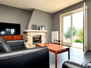 Televisión, chimenea, reproductor de DVD y tenis de mesa 