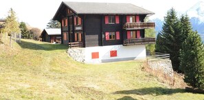 Eksteriør