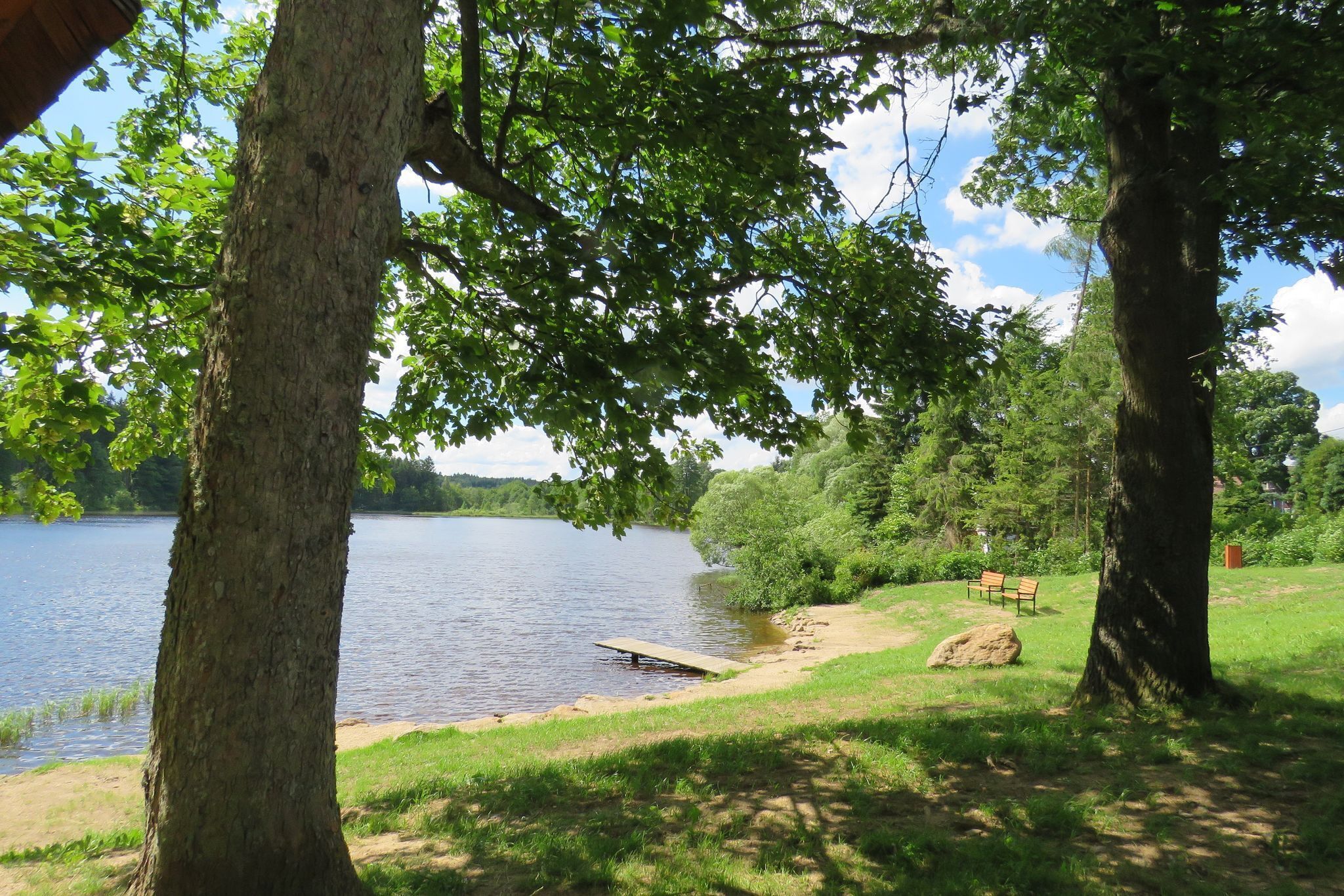 Une vue sur le lac, avec un quai, des bancs et des arbres.