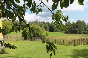 Une cour clôturée avec une clôture en bois, une zone herbeuse et des arbres en arrière-plan.