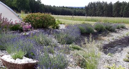 Country House in Czech Forest with Pool