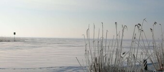 Waterfront Bliss for 2 gæster