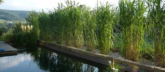 Ferieleilighet Wintergarten i Bad Pyrmont