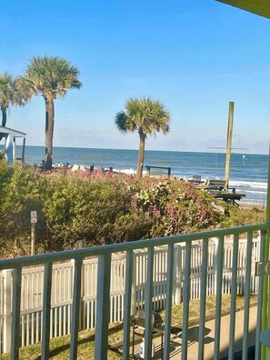A beach view with palm trees, a wooden fence, and a bench.