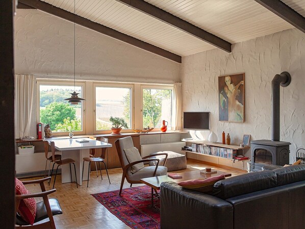 TV, fireplace, DVD player, stereo - Holiday Home Moselle with Private Sauna (Kleinich)