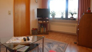 A living room with a wooden door, a television on a stand, a glass table with remote controls, a window with curtains, and a radiator.