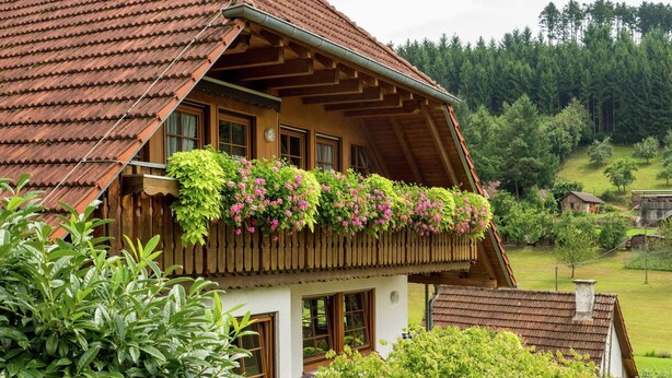 A traditional chalet with a sloped roof, wooden balcony with climbing plants, and a view of a forested valley. - Schwarzwald-Ferienwohnung auf dem Bauernhof (Schuttertal-Regelsbach)